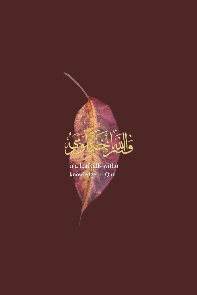 Quran, Verse