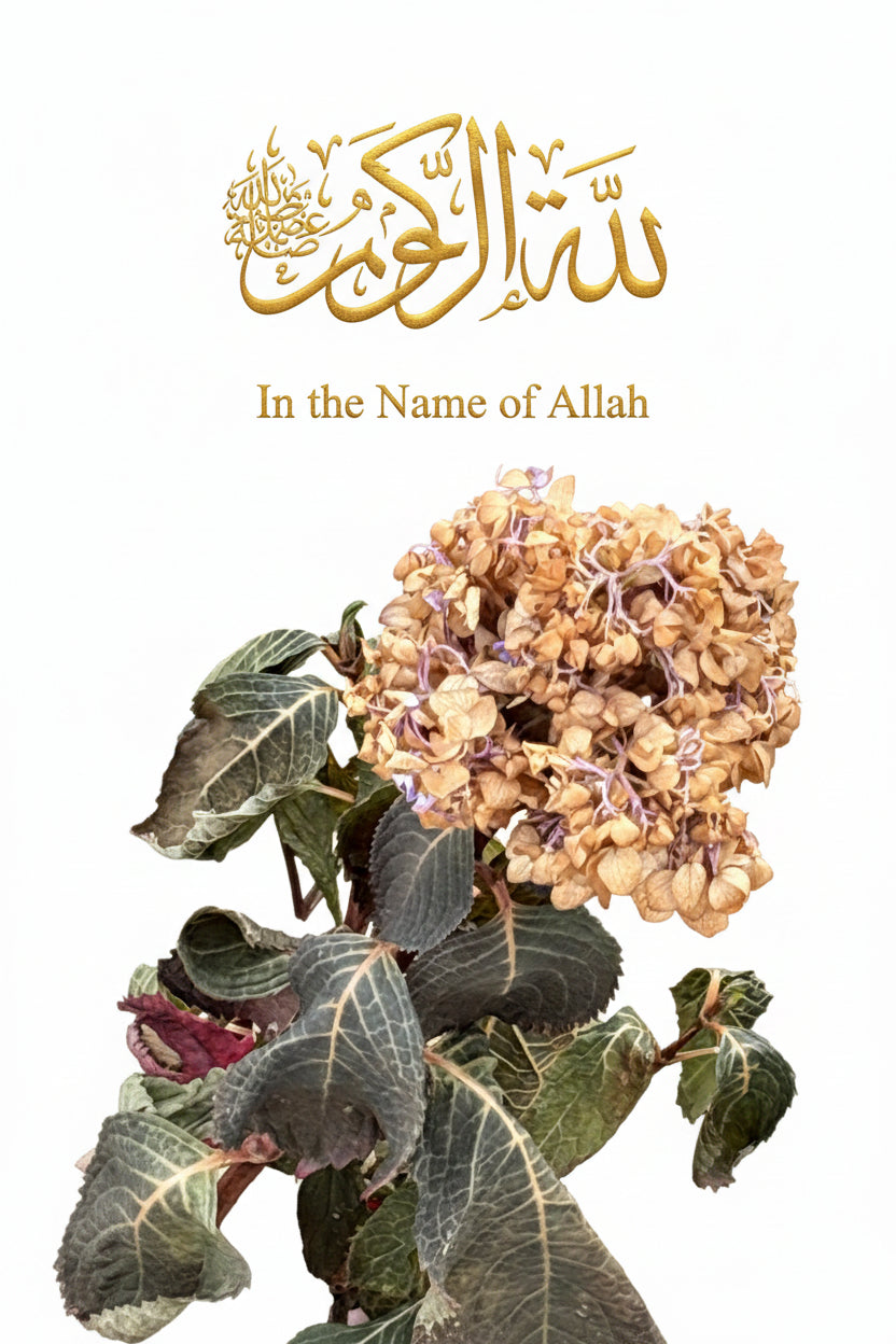 In the name of Allah