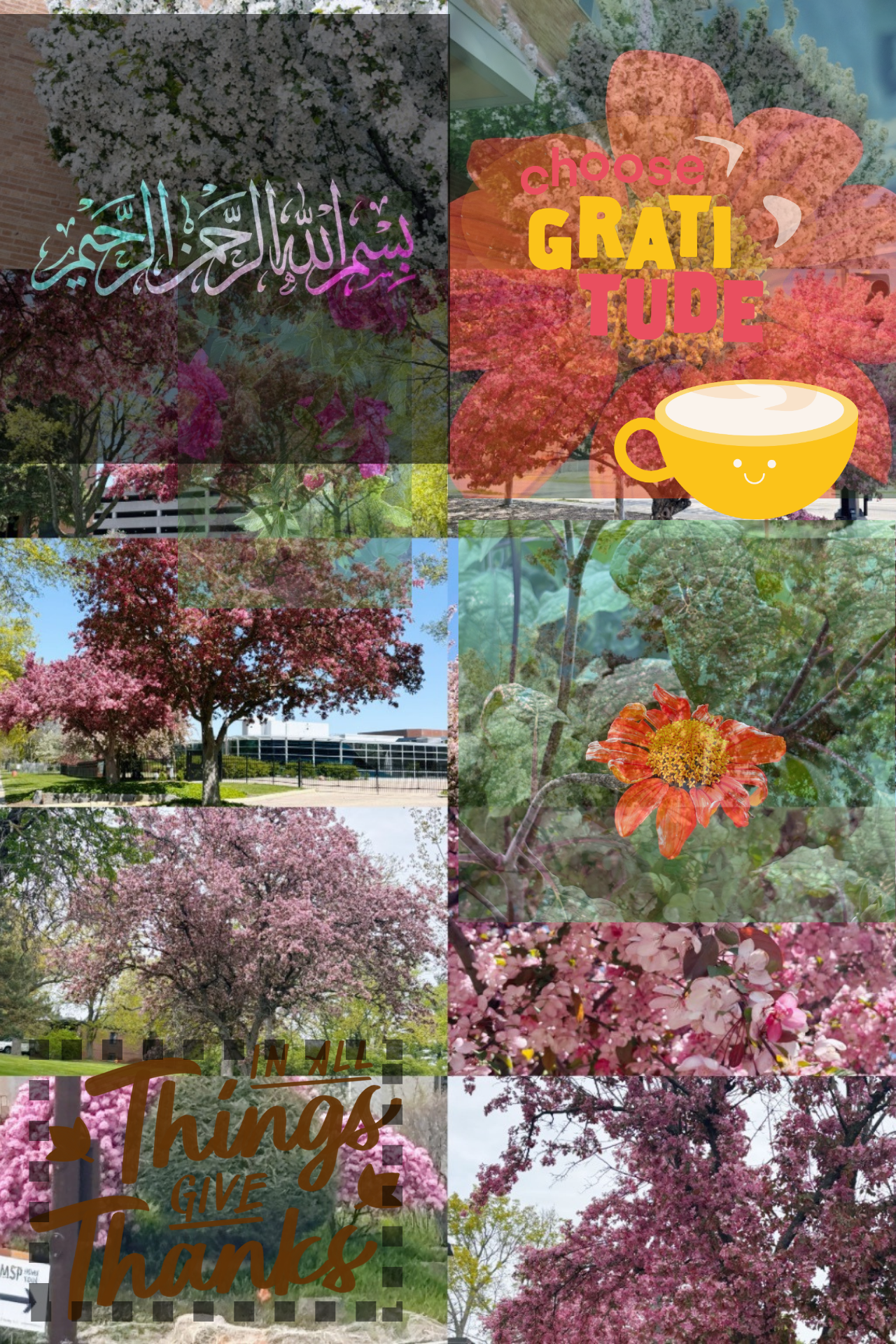 pink tree